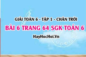 Giải bài 6 trang 64 Toán 6 Tập 1 SGK Chân trời sáng tạo
